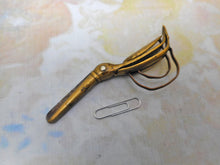 Load image into Gallery viewer, A strange pair of brass bird form scissors. Early 19thc