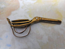 Load image into Gallery viewer, A strange pair of brass bird form scissors. Early 19thc