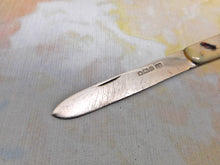 Load image into Gallery viewer, SOLD……..A rare mother of pearl fruit knife with shibayama decoration. HM. 1906