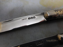Load image into Gallery viewer, A pair of silver fruit knives. HM. 1893 /1894. H&T maker.