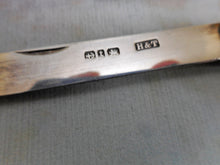Load image into Gallery viewer, A pair of silver fruit knives. HM. 1893 /1894. H&T maker.