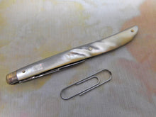 Load image into Gallery viewer, A steel bladed pocket knife. Steer & Webster.