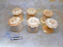 Laden Sie das Bild in den Galerie-Viewer, A set of 6 carved pearl reels /spools. c1850