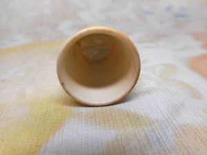 A blush ivory Worcester porcelain thimble painted with a redstart. c1870.