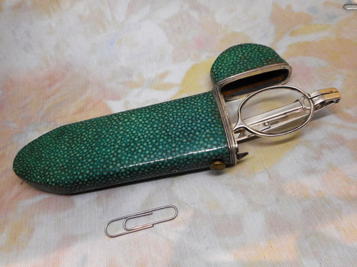 A shagreen spectacle case fitted with silver eye glasses. HM 1812.