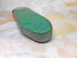 A shagreen spectacle case fitted with silver eye glasses. HM 1812.