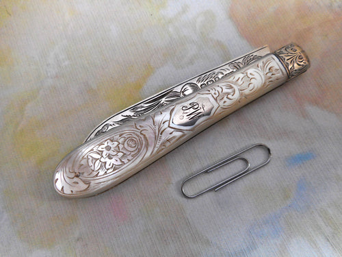 A lovely Victorian folding fruit knife. TM. Sheffield 1893.