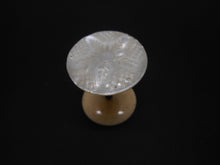 Load image into Gallery viewer, An engraved mother of pearl reel / spool. c1840
