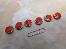Laden Sie das Bild in den Galerie-Viewer, A set of 6 Japanese Satsuma buttons. c1930
