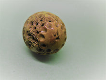 Load image into Gallery viewer, A vegetable ivory pomander. French c 1850. Scent.
