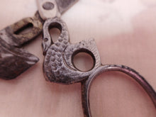 Load image into Gallery viewer, German swan handled, cheroot cutter scissors. c 1900
